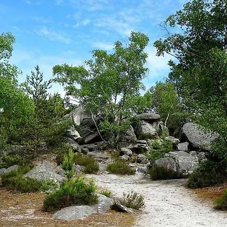 アパート La Halle Du Roi Parking Insead フォンテーヌブロー